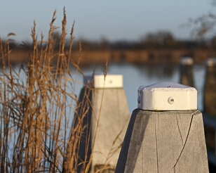 BY3A9280-ps2 Nieuwkoop, Meijepad