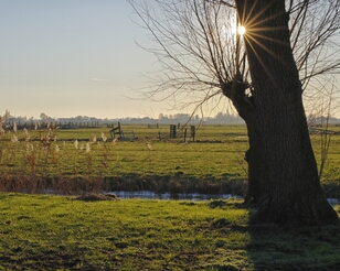 _Y3A8121_DE25-ps2 Nieuwkoop, De Halve Roe