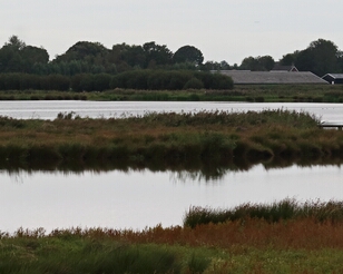 BY3A5741-ps2 Nieuwkoop, Groene Jonker