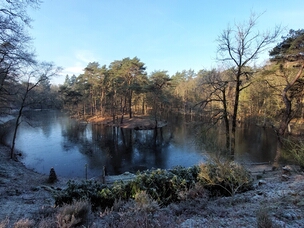 Bosmeren en zandduinen in Heidestein-Bornia, bij Zeist